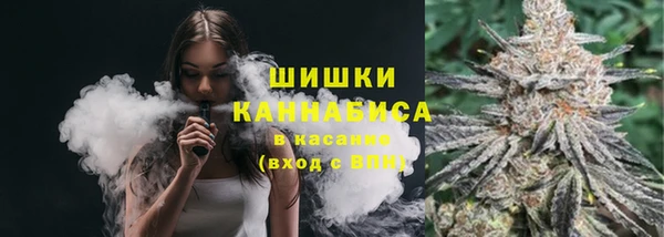 гидра Покровск
