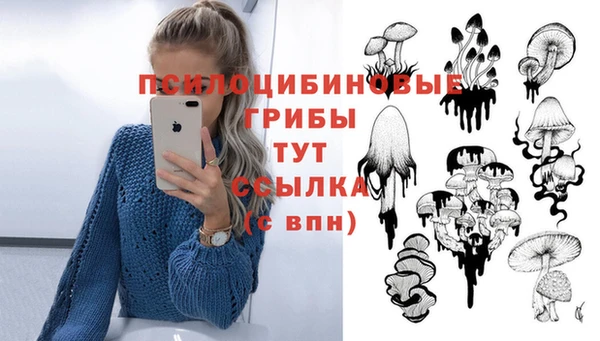 ALPHA-PVP Покров