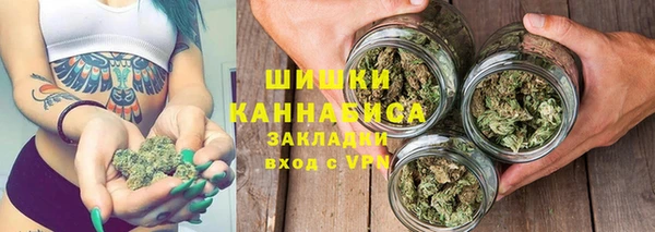 гидра Покровск