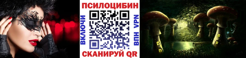 Купить где  Сергач  Галлюциногенные грибы Psilocybe 